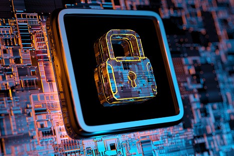 Director Identification Numbers