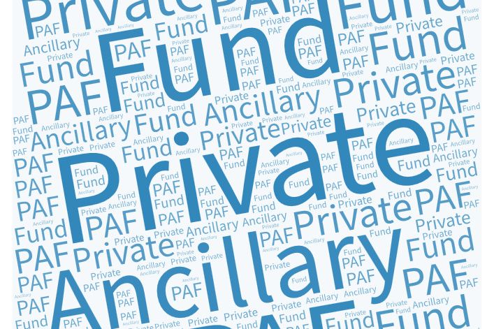 Private Ancillary Funds