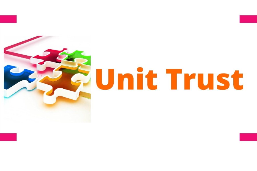 Should I create a Company or a Unit Trust