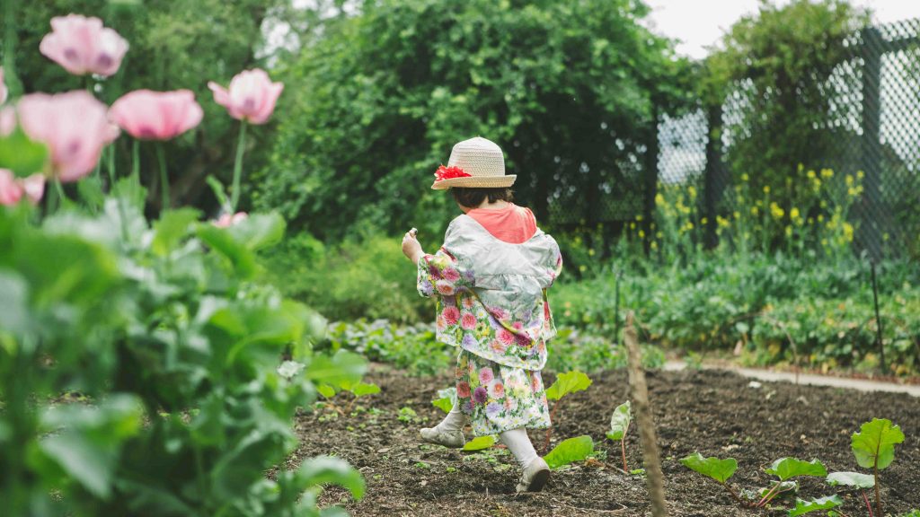 Wills trusts estates